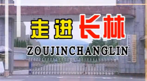 走進(jìn)長(zhǎng)林2008